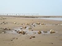 Saltburn Pier from the beach
